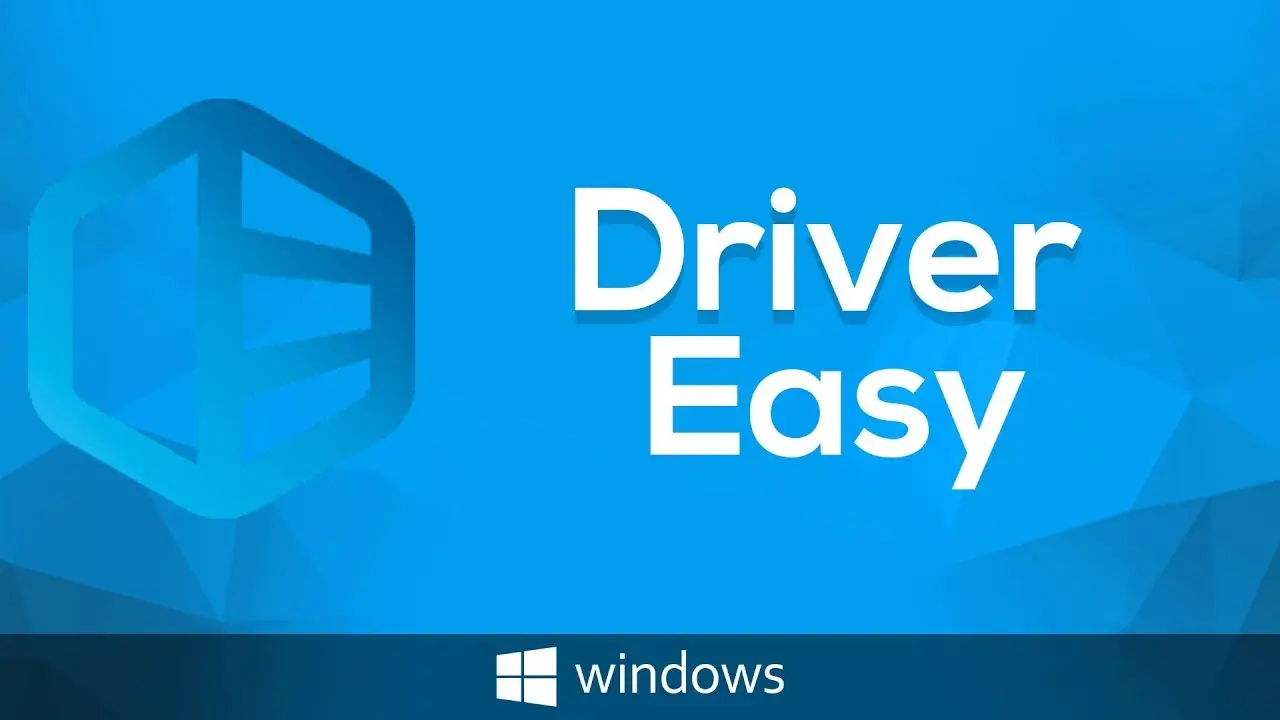 Driver Easy Professional